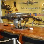 Jeff Bell wildlife inspired sculpture